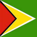 Guyana unlimited daily eSIM